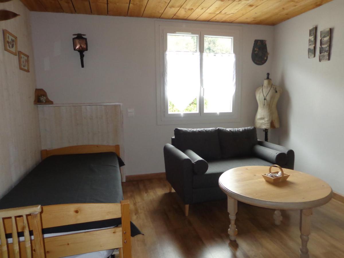 Chez Corine Marque Badet Διαμέρισμα Luz-Saint-Sauveur Εξωτερικό φωτογραφία